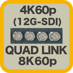 QUAD LINK 8K60p