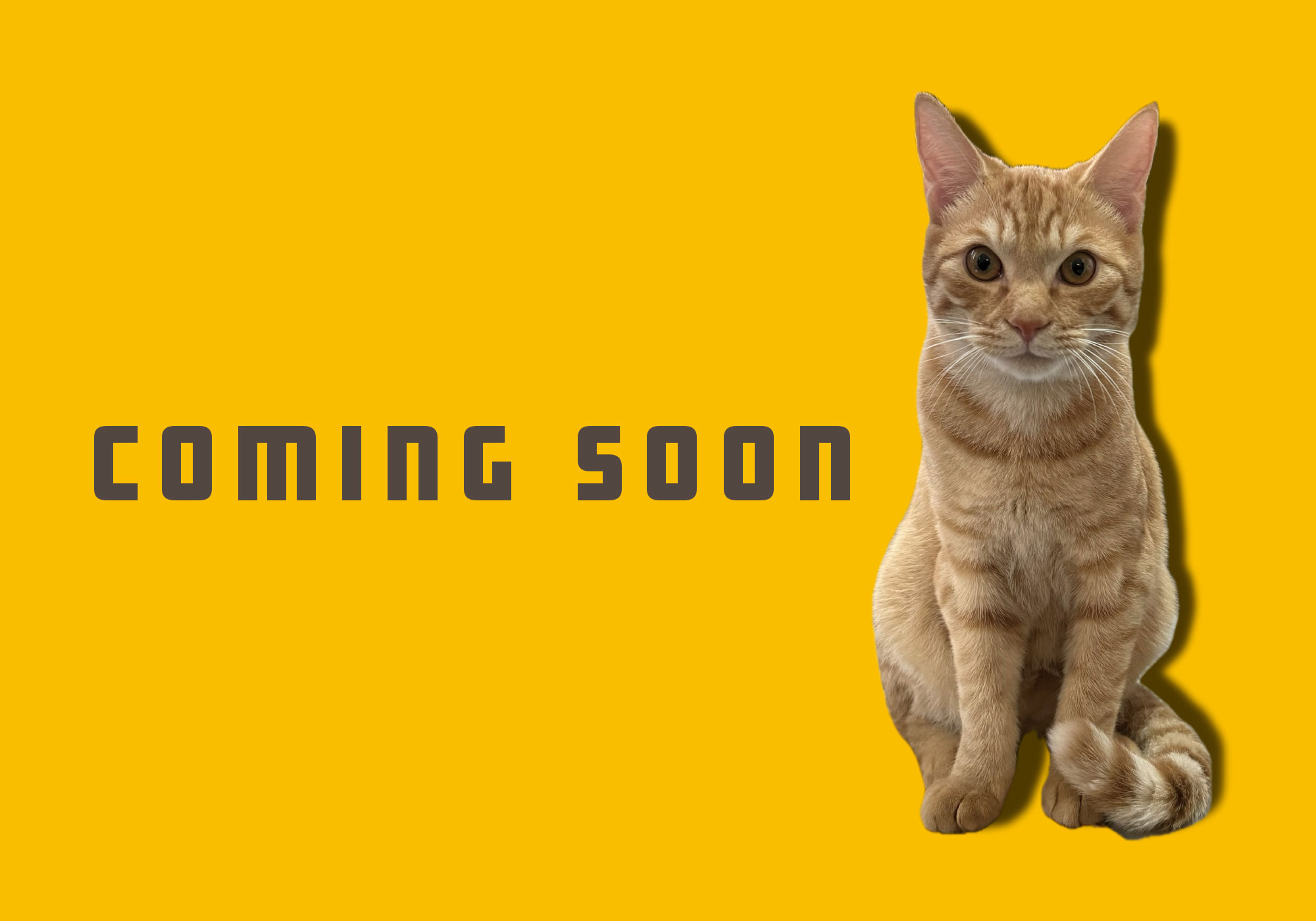 Misao Network Co., Ltd./comingsoon