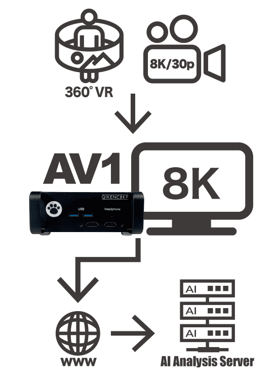 8K 超高精細