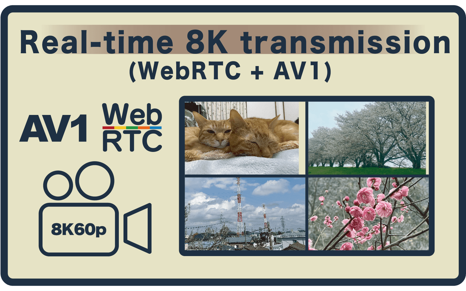 リアルタイム 8K 伝送